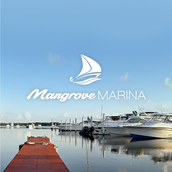 Mangrove-Work