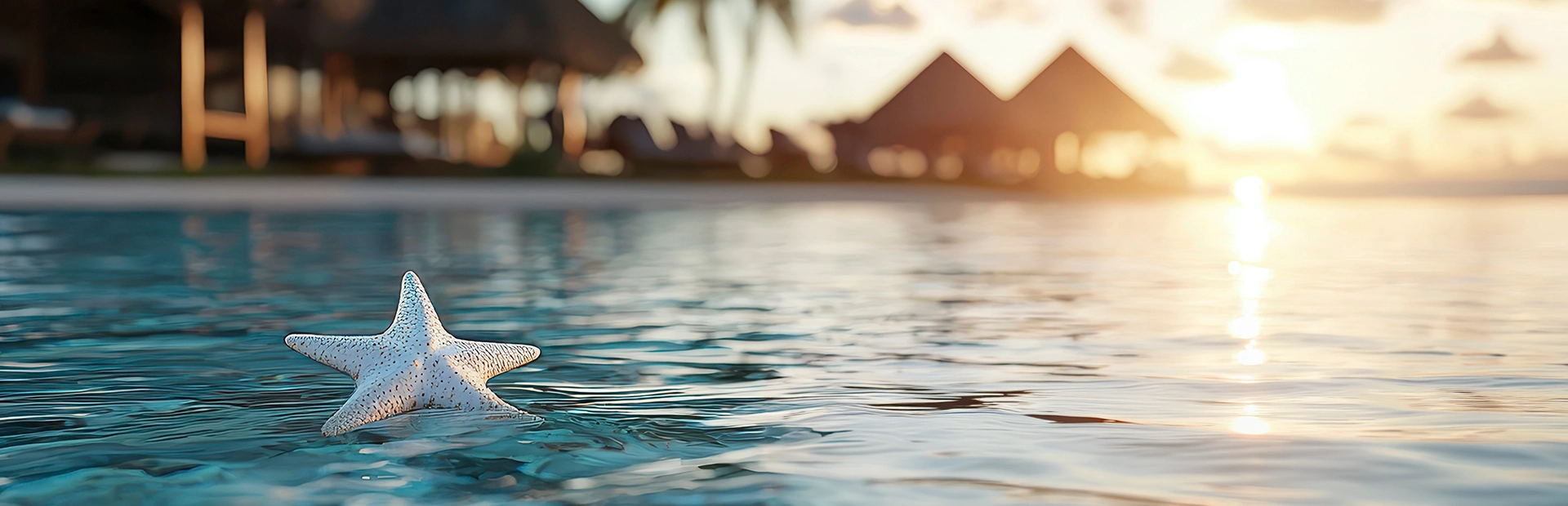 StarryView Resort hero image — Figment Marketing resort branding and digital strategy case study