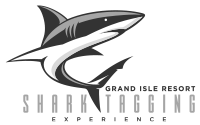 GIR-Shark GIR Shark Dive brand logo — adventure diving and watersport tourism partner