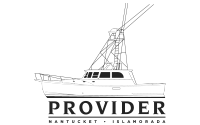 Provider Provider travel brand logo — hospitality and tourism industry marketing partner