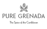 Pure Pure wellness resort brand logo — luxury spa and health travel client